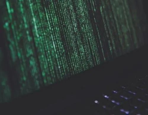 ▲图片来源:pexels