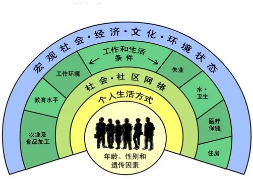  健康的社会决定因素。