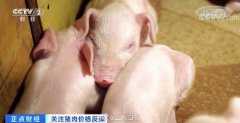 5月29日，全国猪肉均价为38.65元每公斤