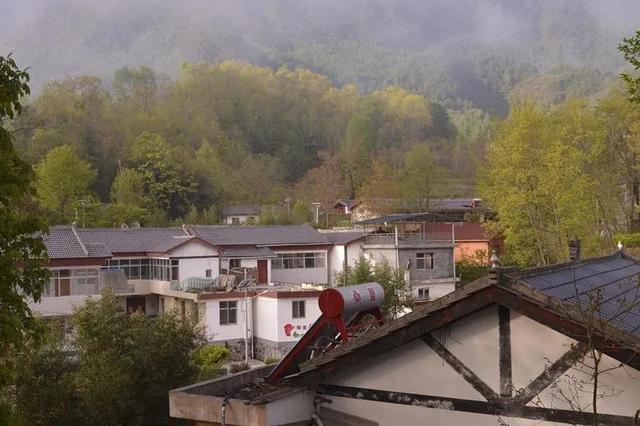 陇南康县 │ 一个不要门票的天然大景区