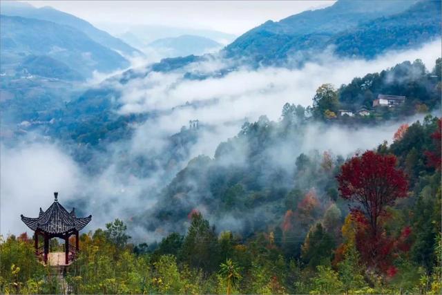 陇南康县 │ 一个不要门票的天然大景区