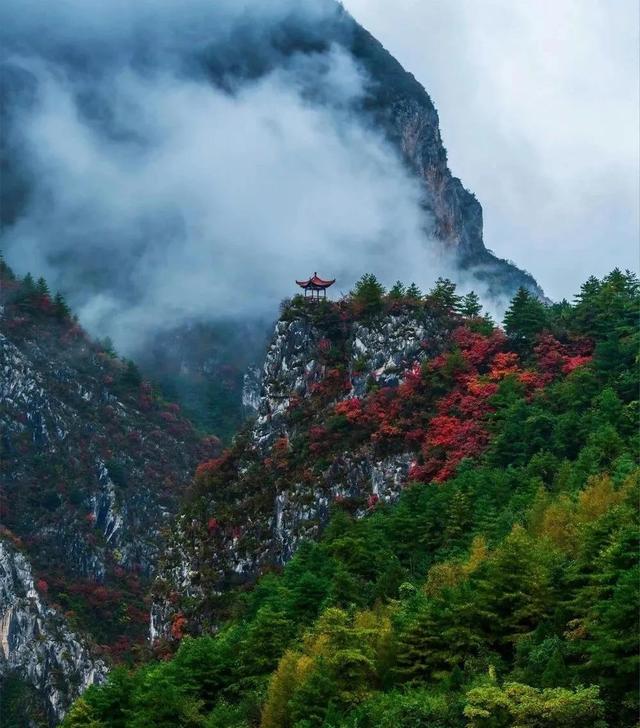 陇南康县 │ 一个不要门票的天然大景区