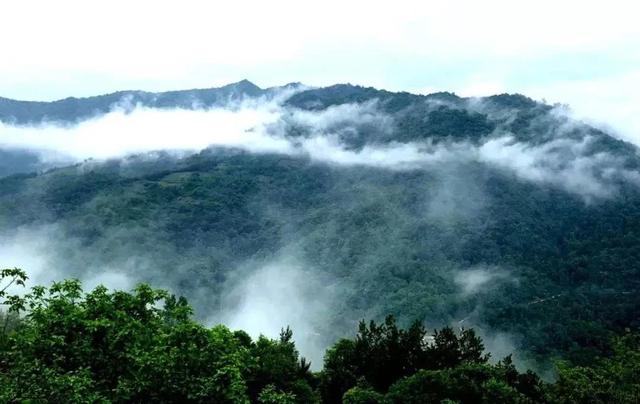 陇南康县 │ 一个不要门票的天然大景区