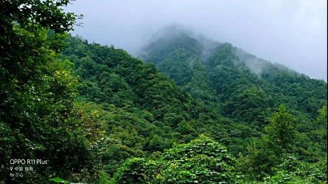 陇南康县 │ 一个不要门票的天然大景区