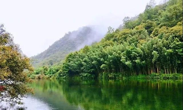 陇南康县 │ 一个不要门票的天然大景区