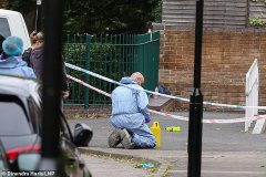 伦敦犯罪高发区一青年光天化日遭枪手