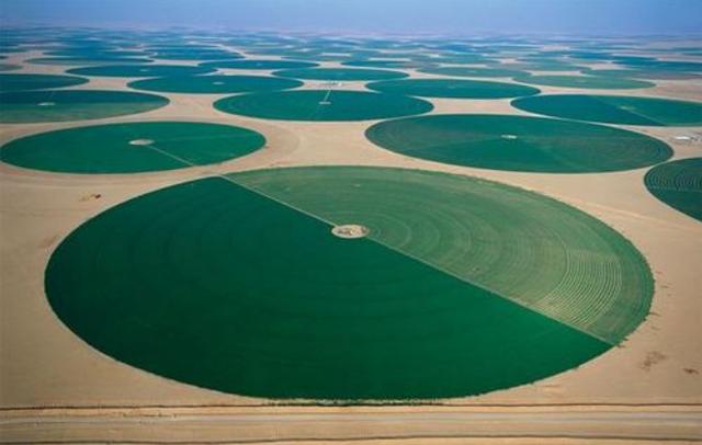 沙特阿拉伯全是沙漠，他们是怎么种田的？贫穷限制了我的想象