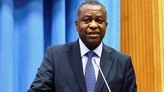 尼日利亚外交部长奥尼亚马发推文：新冠肺炎检测结果呈阳性