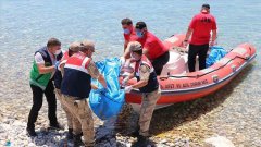 土耳其凡湖船只倾覆事故遇难人数升至