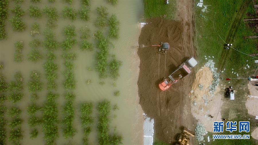  7月20日，在永固垸西线防洪大堤，工作人员处置渗漏险情（无人机照片）。新华社记者 陈泽国 摄