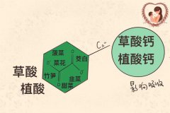 不避开四类“天然补钙杀手”，给娃补