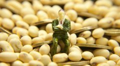 阿根廷拒绝提供大豆进口无病毒证明