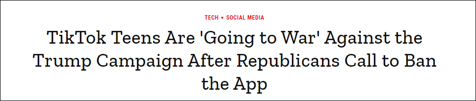 TikTok的年轻人对特朗普竞选app“开战” 《时代》周刊报道截图