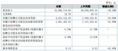 天瑞电子2020年上半年营业总收入32,099