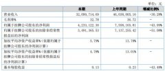 天瑞电子2020年上半年营业总收入32,099