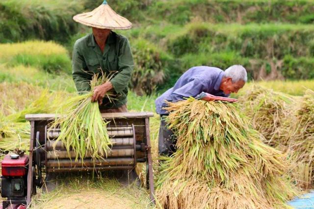全球6.9亿人要挨饿!21世纪竟然还会“断粮”,原因到底是什么?