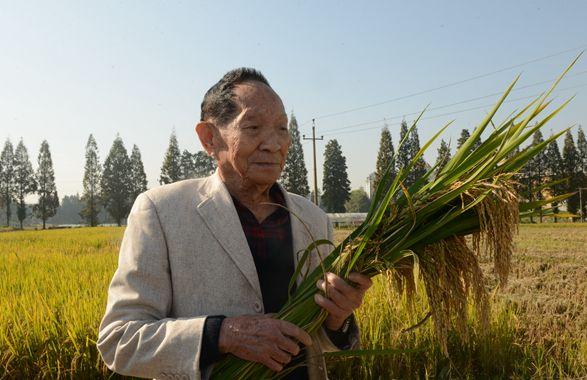 全球6.9亿人要挨饿!21世纪竟然还会“断粮”,原因到底是什么?