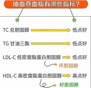 血脂报告应该要怎么看，记住几项指标