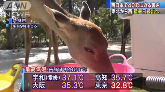 奈良19日最高气温达到38度(朝日电视台)