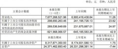 中直股份2020年上半年公司实现营业收入