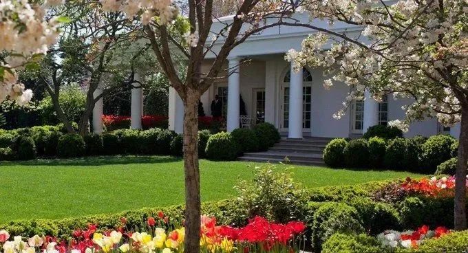 辛苦一月翻新了白宫玫瑰园，特朗普一家却被骂上热搜