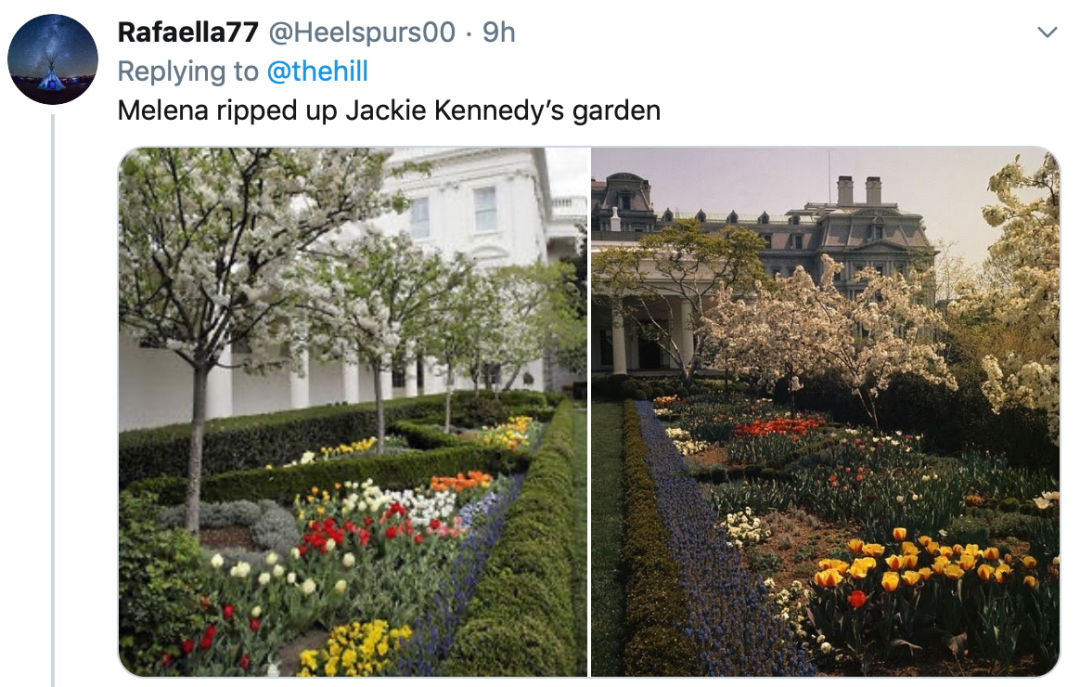 辛苦一月翻新了白宫玫瑰园，特朗普一家却被骂上热搜