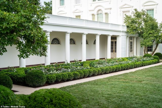 梅拉尼娅翻新了白宫花园，遭批：她是外国人，无权破坏我们的历史