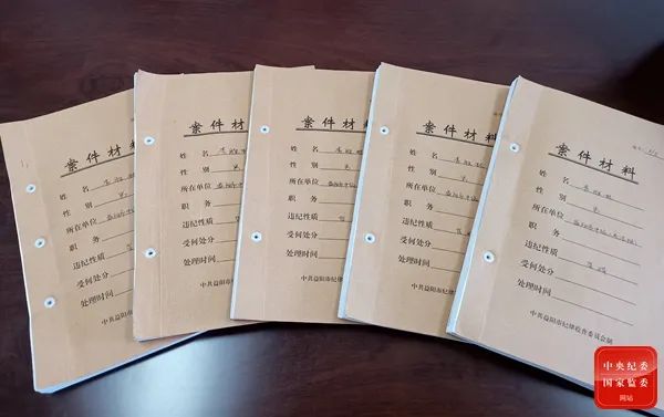  湖南省益阳市纪委监委审理的李胜林案相关案卷。