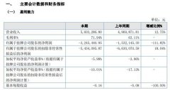 天源股份2020年上半年营业收入5,603,286