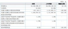 睿通股份2020年上半年公司实现营业收入