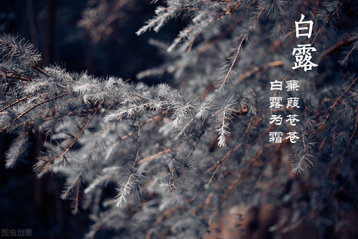 秋天多吃这几样,滋阴润肺,冬天全家才不容易生病