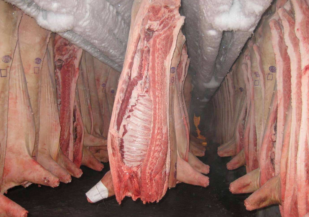 多国暂停猪肉出口，猪肉市场或将涨价？俄罗斯：出口不停