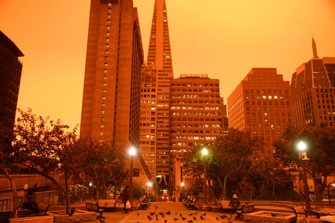 这是9月9日中午拍摄的美国加利福尼亚州旧金山街景。  新华社 图