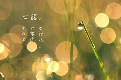 白露∣全年昼夜温差最大的节气,这些养生攻略中老年人必须知道