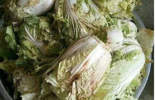 上班族蔬菜吃不够,应该怎么补救?营养师教你3个方法补充营养