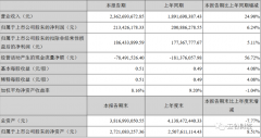 2020年上半年，华致酒行实现营业收入约