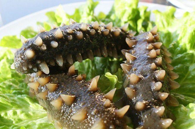 爱美的人吃海参有什么好处?保护作用大不大