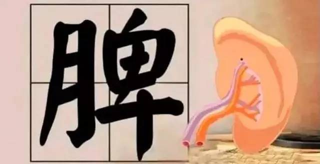 内伤脾胃,百病由生!一个补虚健脾食疗方,调好了很多人的脾胃病
