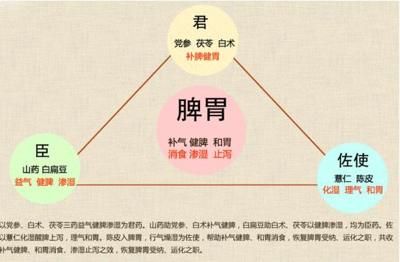 内伤脾胃,百病由生!一个补虚健脾食疗方,调好了很多人的脾胃病