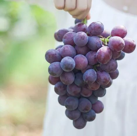 2020年最新食物升血糖排行榜,1张GI表教糖友放心吃
