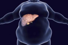 得了脂肪肝，机体免疫力可能大大受损
