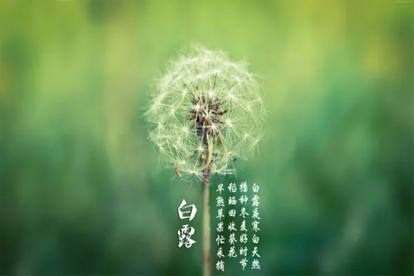 养生|白露过后养生有讲究