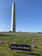 志愿者在美国华盛顿国家广场上插上2万