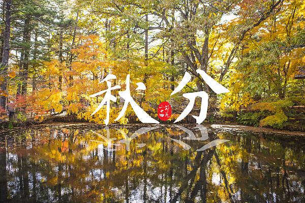 秋分养生,连睡觉时头的朝向都有讲究?