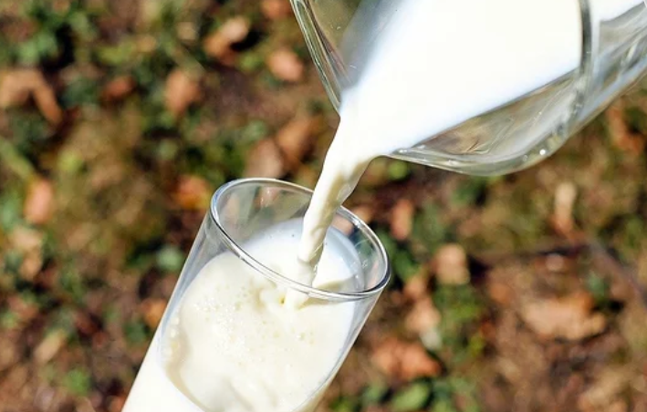“网红”燕麦奶营养比牛奶好，是更佳的补钙选择？