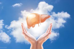 怎么判断自己的肝脏是否健康？