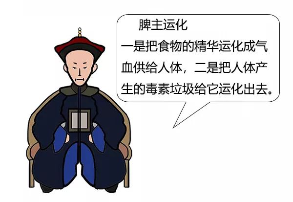 大白话说中医第十集|要想身体好,脾胃就得保