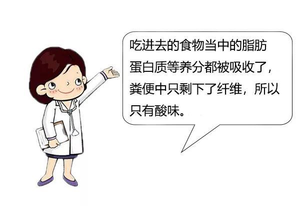 大白话说中医第十集|要想身体好,脾胃就得保