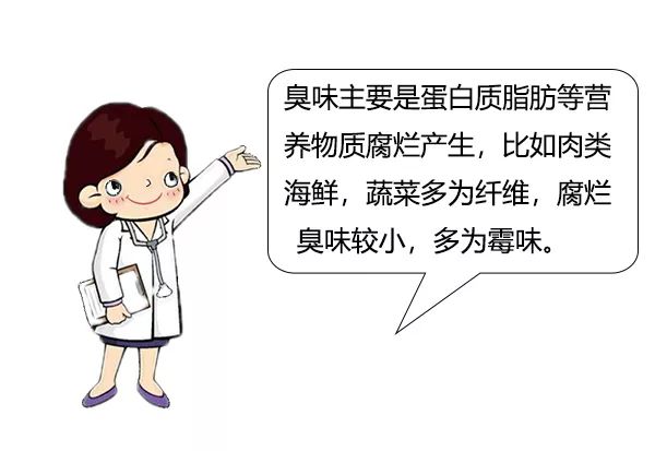 大白话说中医第十集|要想身体好,脾胃就得保