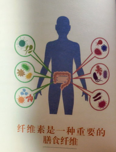 你必须要知道人体需要的七大营养素之维生素